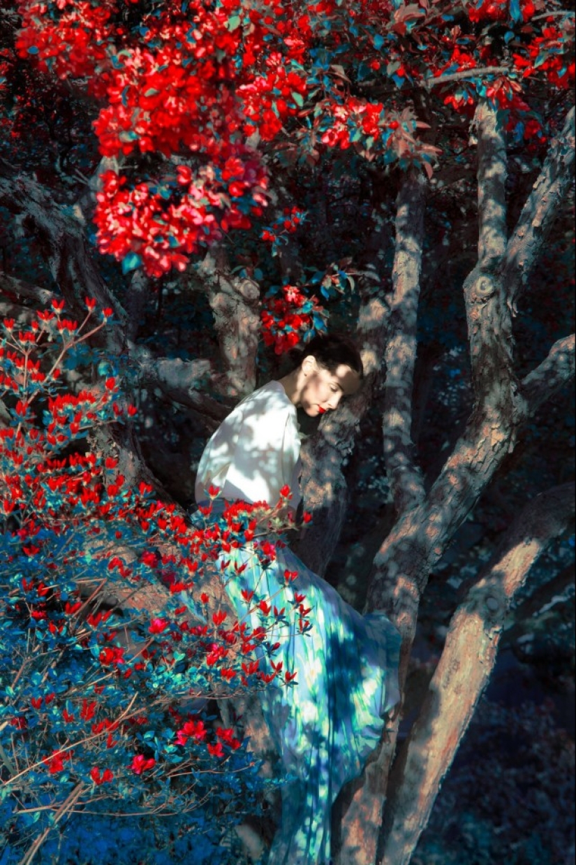 El pintor con cámara Eric Madigan Heck y sus mágicos juegos con el color El pintor con cámara Eric Madigan Heck y sus mágicos juegos con el color