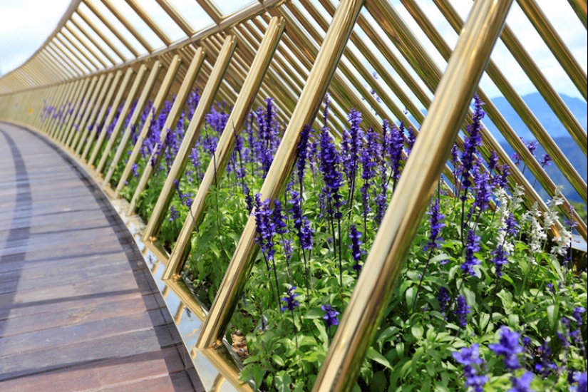 El Puente Dorado en Da Nang es un lugar en Vietnam que todos deben ver El Puente Dorado en Da Nang es un lugar en Vietnam que todos deben ver