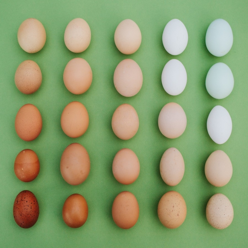 El Sueño del Perfeccionista: Un juego de Color por Emily Blinko El Sueño del Perfeccionista: Un juego de Color por Emily Blinko