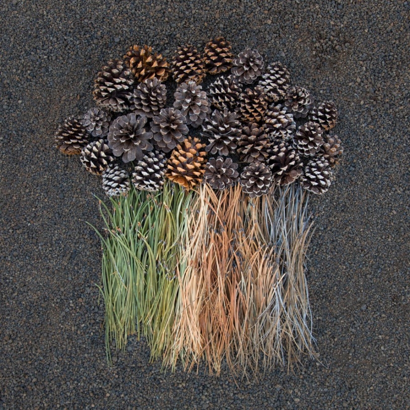 El Sueño del Perfeccionista: Un juego de Color por Emily Blinko El Sueño del Perfeccionista: Un juego de Color por Emily Blinko