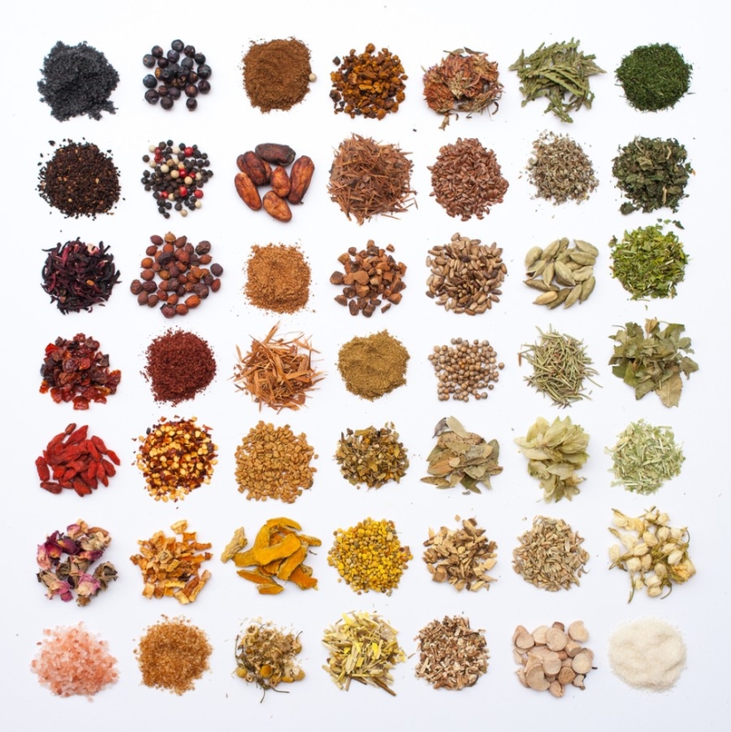 El Sueño del Perfeccionista: Un juego de Color por Emily Blinko El Sueño del Perfeccionista: Un juego de Color por Emily Blinko