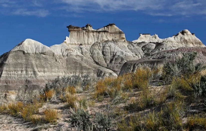 El tesoro de Forest Fenn: el misterioso tesoro moderno que costó muchas vidas