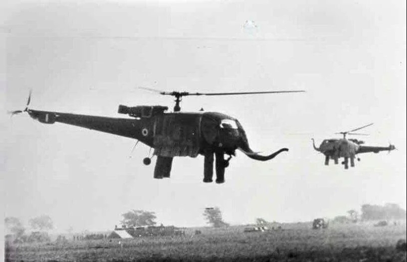 Elephant helicopters of the Indian army: the enemy will be scared
