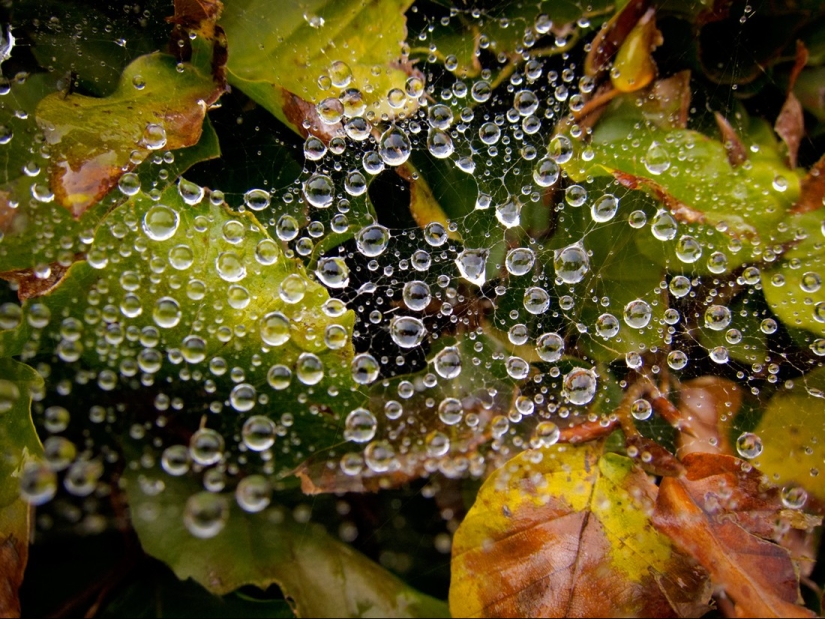Elixir of the Gods: 36 interesting facts about wine Elixir of the Gods: 36 interesting facts about wine