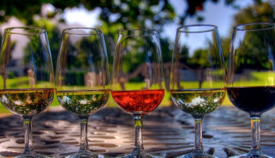 Elixir of the Gods: 36 interesting facts about wine Elixir of the Gods: 36 interesting facts about wine