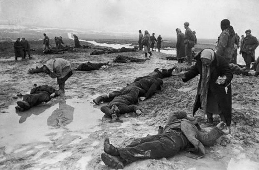 En el Día de la Victoria: 35 fotos famosas de la Gran Guerra Patria