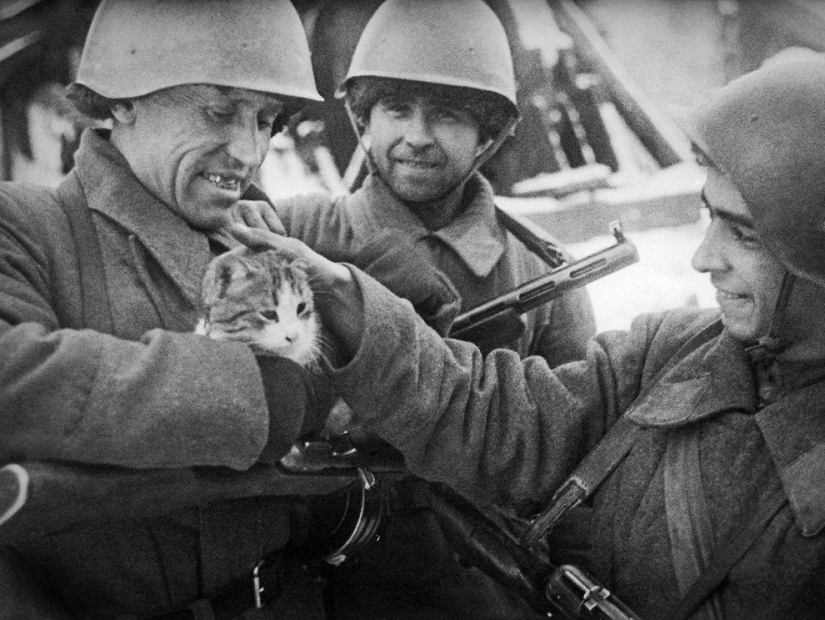 En el Día de la Victoria: 35 fotos famosas de la Gran Guerra Patria