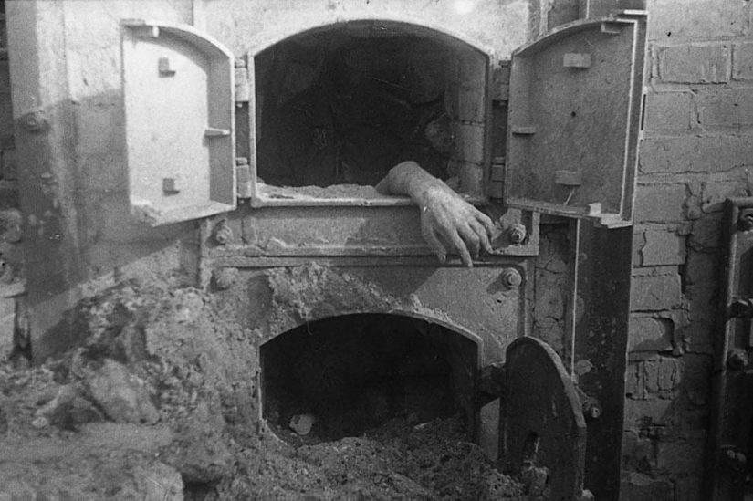 En el Día de la Victoria: 35 fotos famosas de la Gran Guerra Patria