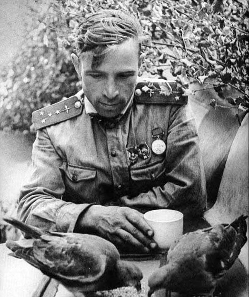 En el Día de la Victoria: 35 fotos famosas de la Gran Guerra Patria
