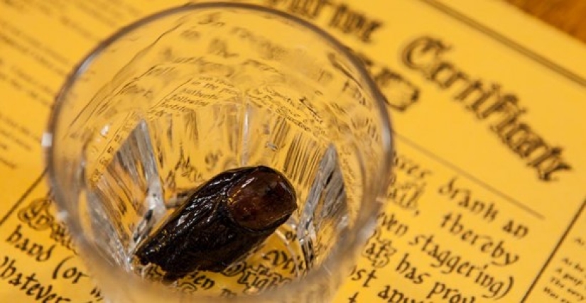 En la boca de mis pies: la gloriosa historia del club canadiense de alcohólicos " Sour Finger» En la boca de mis pies: la gloriosa historia del club canadiense de alcohólicos " Sour Finger»