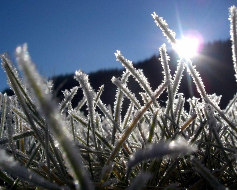 En la mañana de escarcha