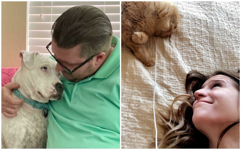 En lugar de las palabras a la vista: 20+ Mascotas que amo profundamente a sus dueños