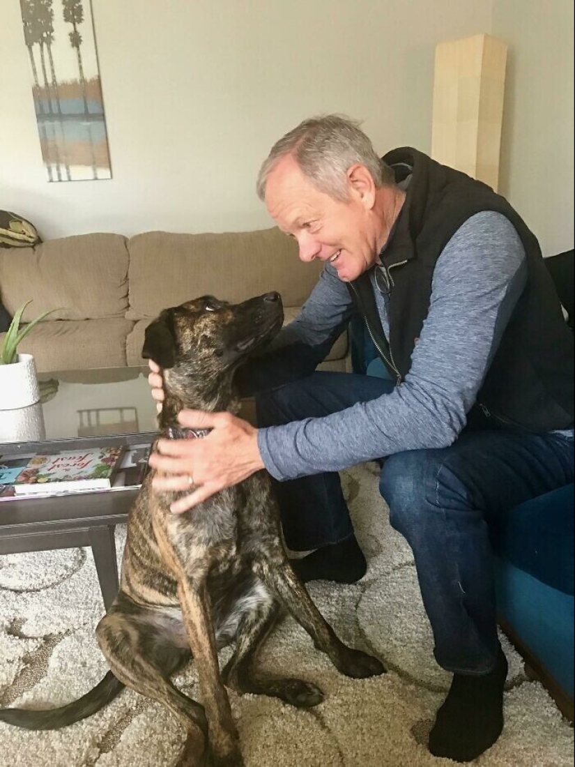 En lugar de las palabras a la vista: 20+ Mascotas que amo profundamente a sus dueños