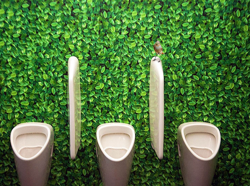En necesidad, pero no en la ofensa: 20 baños públicos más inusuales