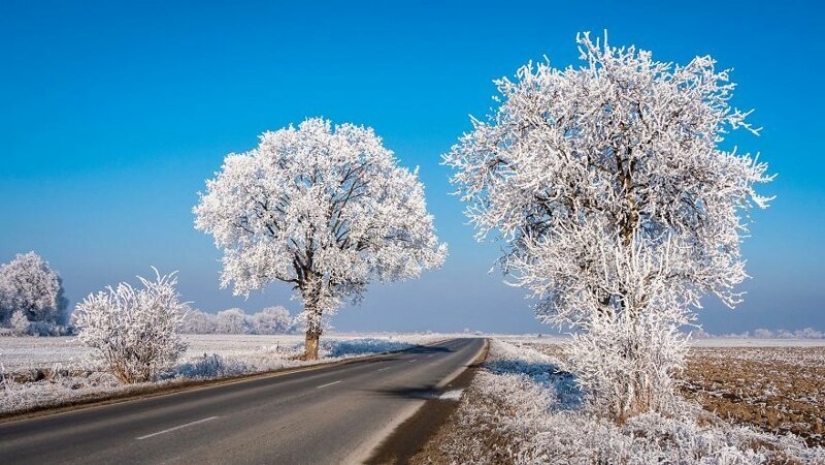 Encantadoras de la naturaleza y las tradiciones antiguas de Rumania Encantadoras de la naturaleza y las tradiciones antiguas de Rumania