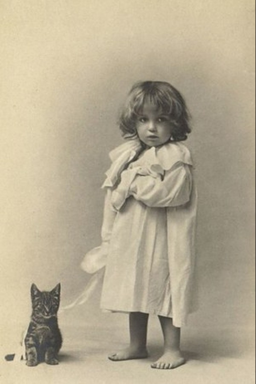 Encantadores gatos vintage que demostrarán que los gatos han gobernado el mundo en todo momento