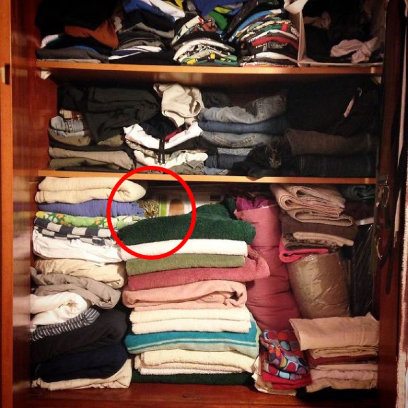 Encontrar el gato: astuto barbas a rayas, que son imposibles de encontrar en la foto