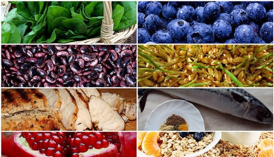 Energy in a plate – 10 products against fatigue