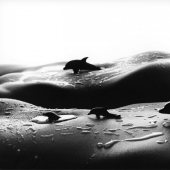 Erotic landscapes of the female body