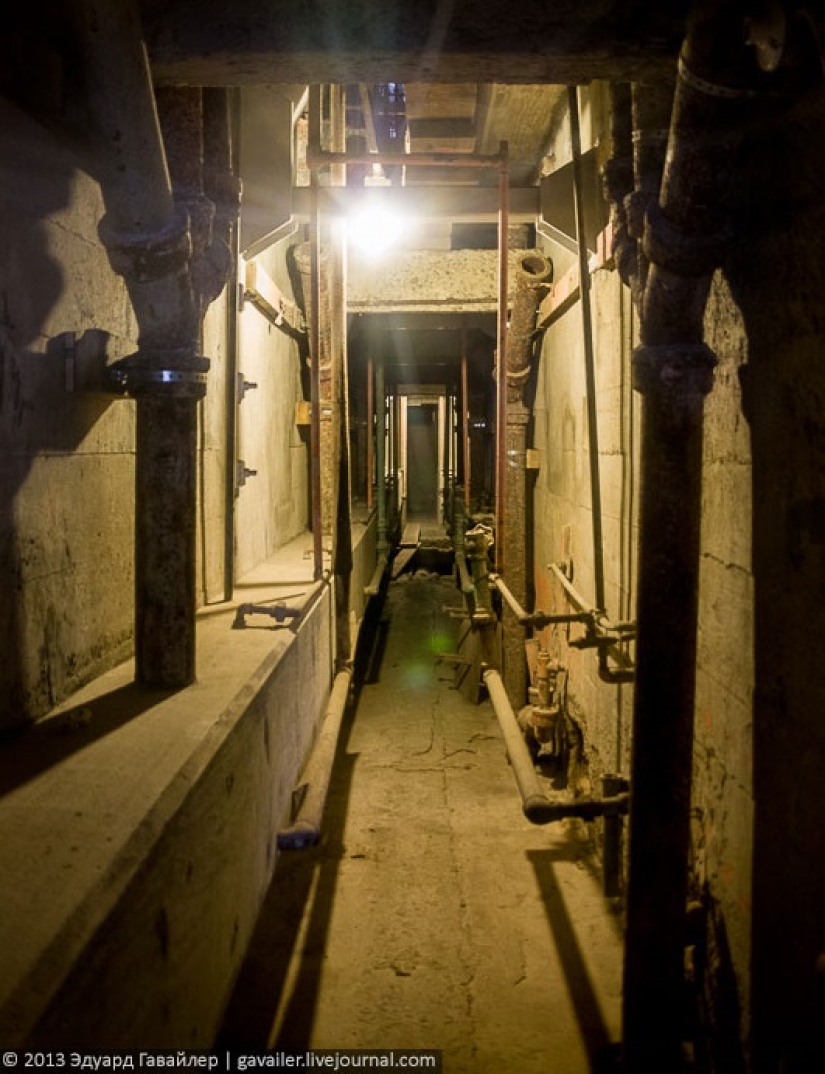 Escape from the "Alcatraz": the story of three inmates who escaped from the most secure prison USA