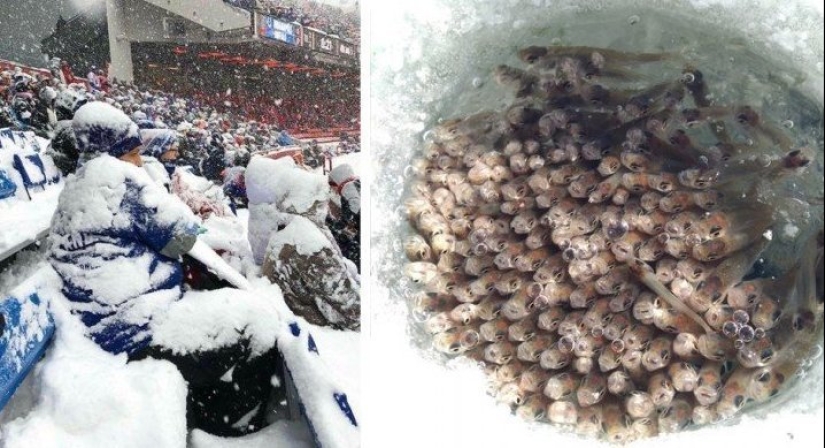 Eso es lo que un verdadero invierno: 30+ fotos que va a ser de frío