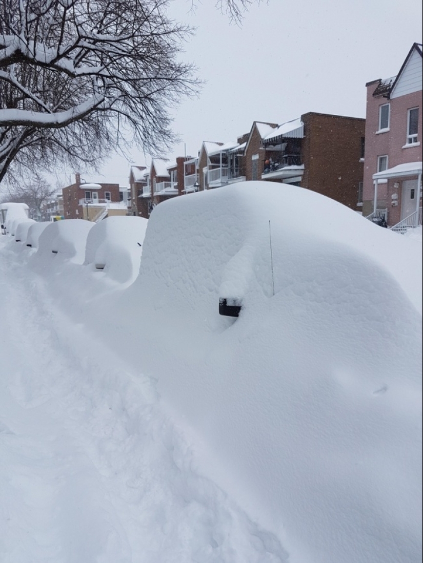 Eso es lo que un verdadero invierno: 30+ fotos que va a ser de frío