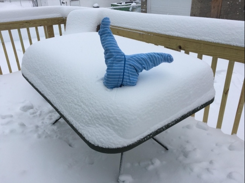 Eso es lo que un verdadero invierno: 30+ fotos que va a ser de frío