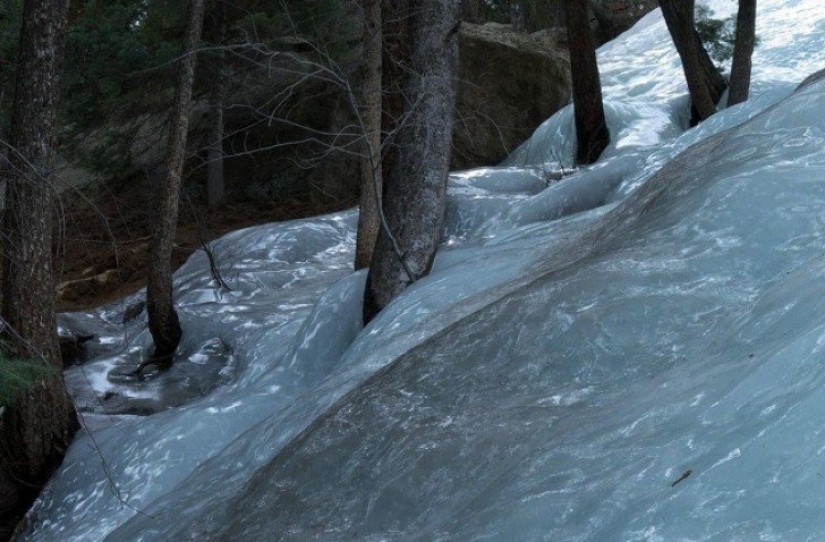 Eso es lo que un verdadero invierno: 30+ fotos que va a ser de frío