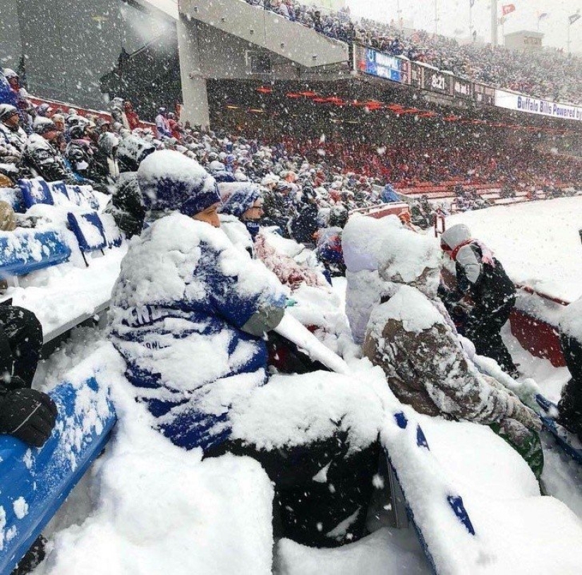 Eso es lo que un verdadero invierno: 30+ fotos que va a ser de frío