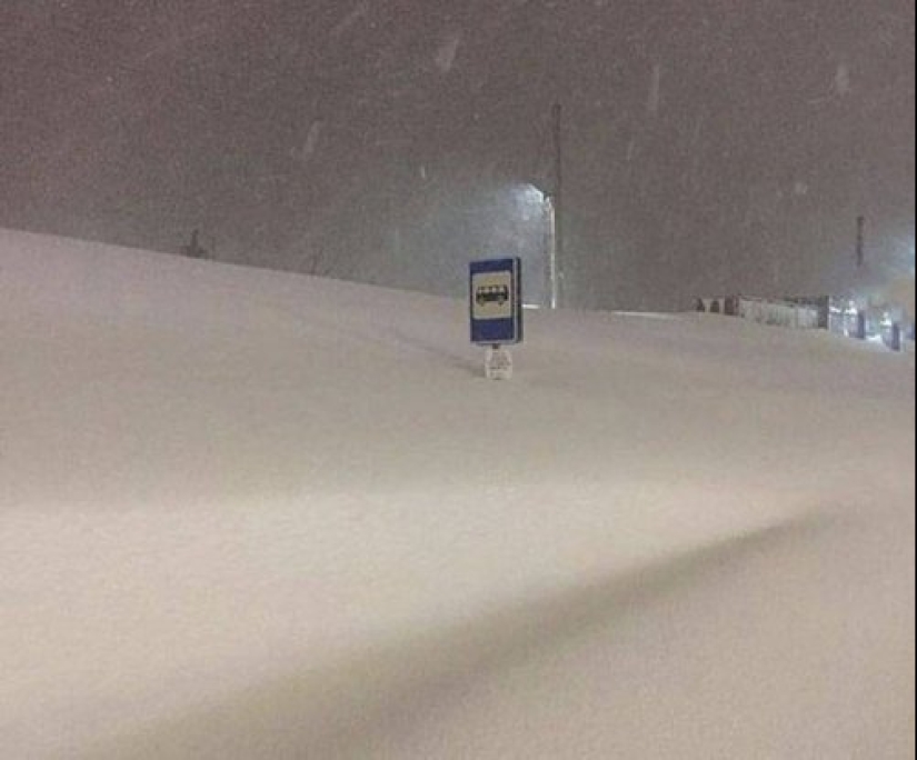 Eso es lo que un verdadero invierno: 30+ fotos que va a ser de frío