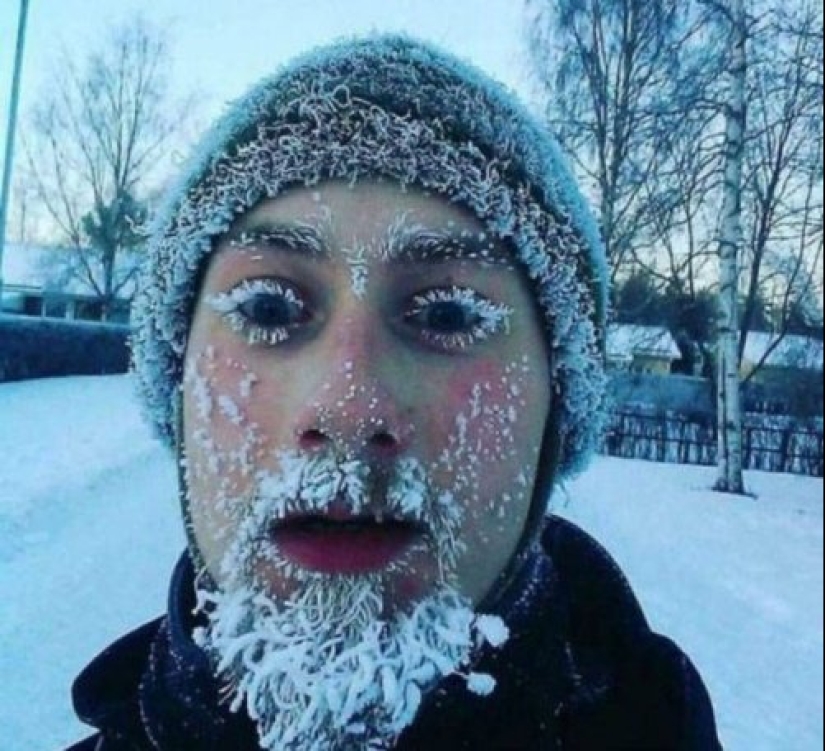 Eso es lo que un verdadero invierno: 30+ fotos que va a ser de frío