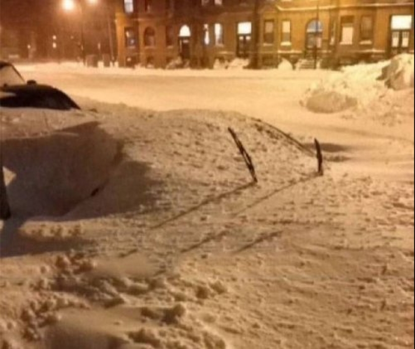 Eso es lo que un verdadero invierno: 30+ fotos que va a ser de frío