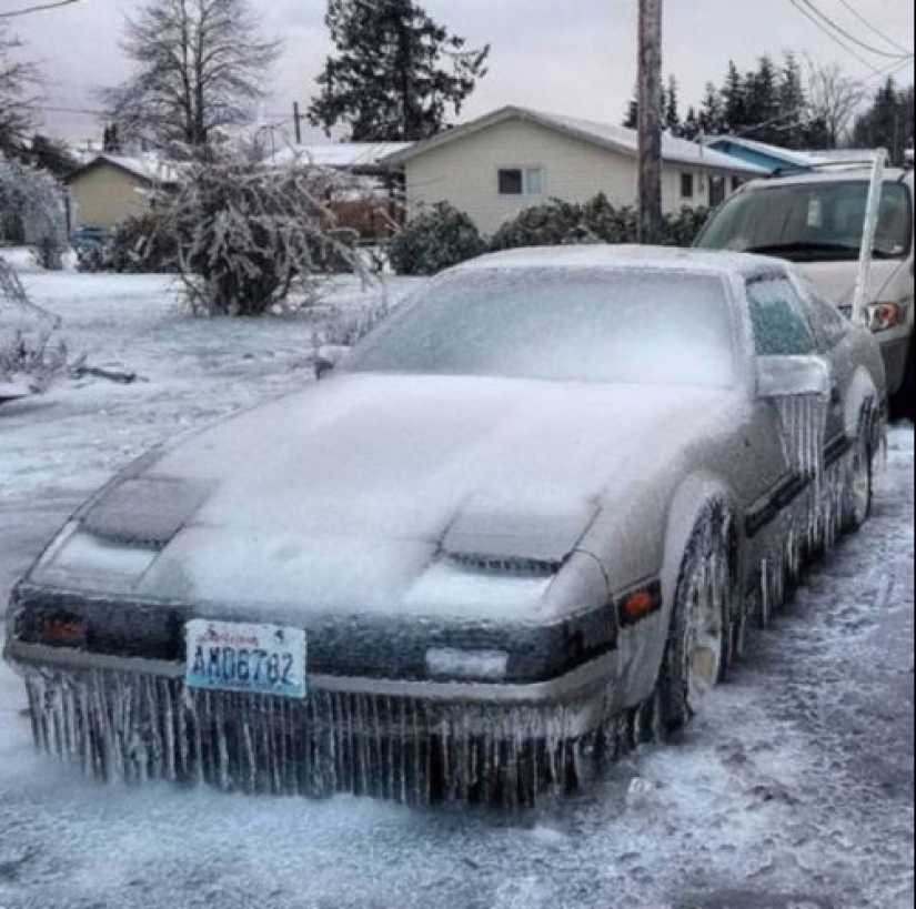 Eso es lo que un verdadero invierno: 30+ fotos que va a ser de frío