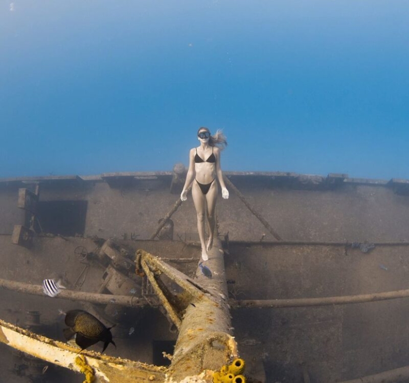 Espectáculo submarino del buzo y fotógrafo Jason Washington