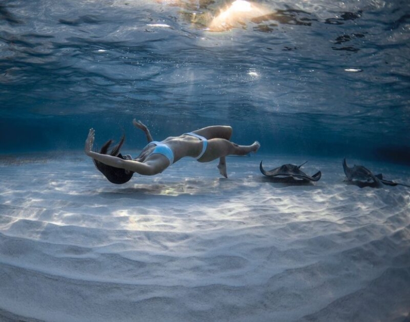 Espectáculo submarino del buzo y fotógrafo Jason Washington