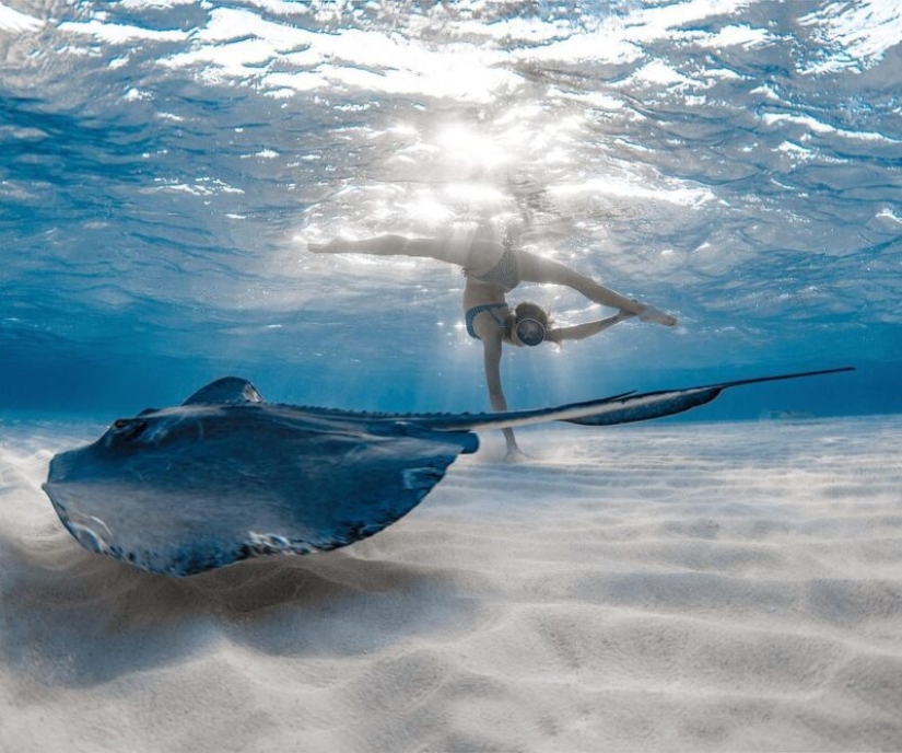 Espectáculo submarino del buzo y fotógrafo Jason Washington