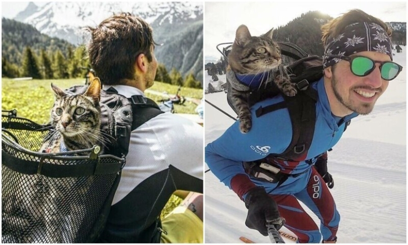 Esquí, surf, paracaidismo: el gato de Instagram vive cien veces más interesante que tú