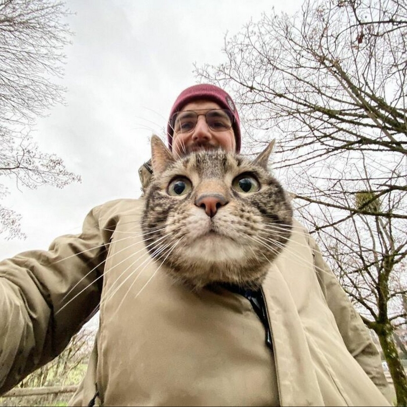 Esquí, surf, paracaidismo: el gato de Instagram vive cien veces más interesante que tú