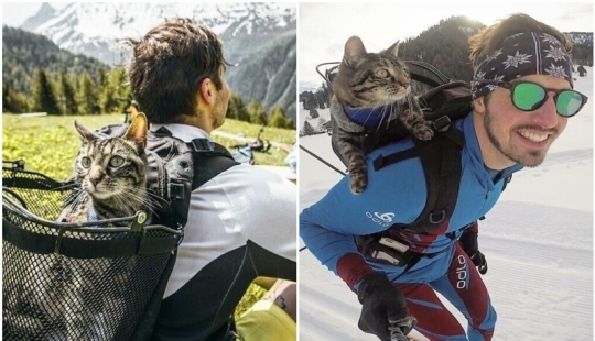 Esquí, surf, paracaidismo: el gato de Instagram vive cien veces más interesante que tú