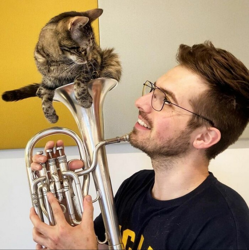 Esquí, surf, paracaidismo: el gato de Instagram vive cien veces más interesante que tú