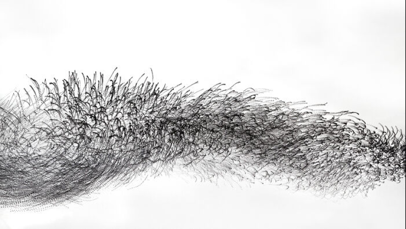 Este artista capturó 20 fotografías fascinantes que convierten la migración de aves en una obra de arte Este artista capturó 20 fotografías fascinantes que convierten la migración de aves en una obra de arte