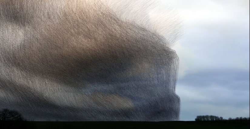 Este artista capturó 20 fotografías fascinantes que convierten la migración de aves en una obra de arte Este artista capturó 20 fotografías fascinantes que convierten la migración de aves en una obra de arte