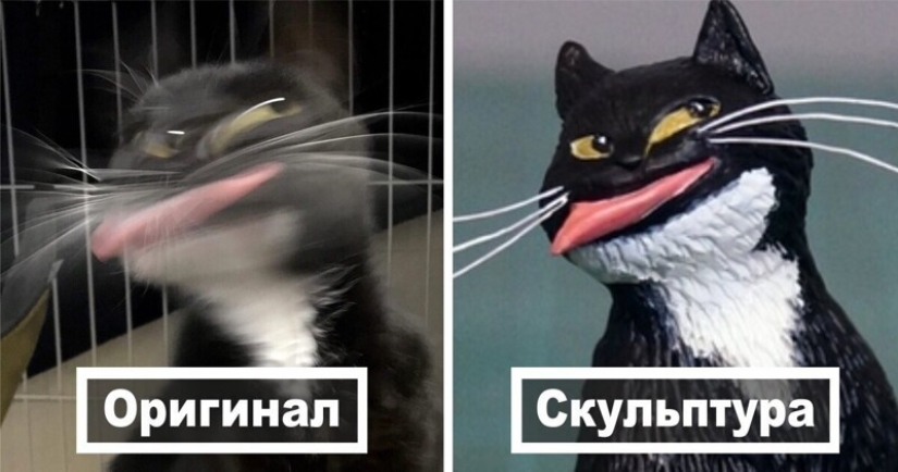 Este es un debe ver: 50 divertidas figuras de animales basado en Internet memes
