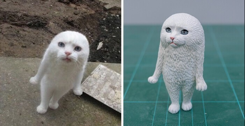 Este es un debe ver: 50 divertidas figuras de animales basado en Internet memes