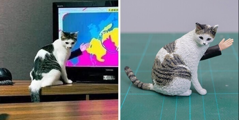 Este es un debe ver: 50 divertidas figuras de animales basado en Internet memes
