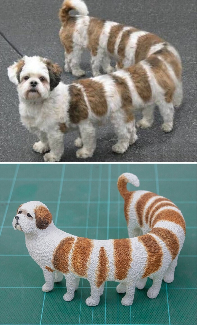 Este es un debe ver: 50 divertidas figuras de animales basado en Internet memes