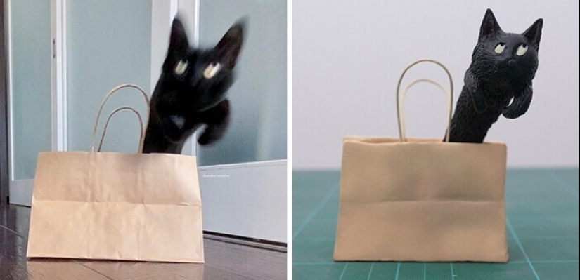 Este es un debe ver: 50 divertidas figuras de animales basado en Internet memes