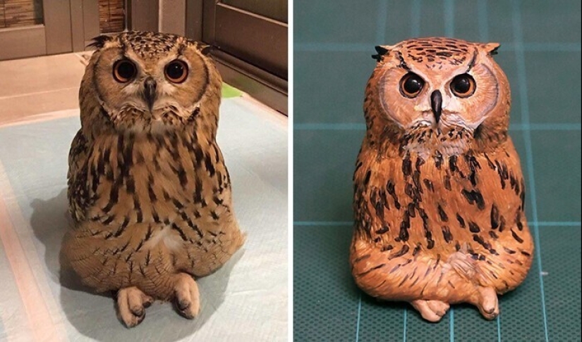 Este es un debe ver: 50 divertidas figuras de animales basado en Internet memes