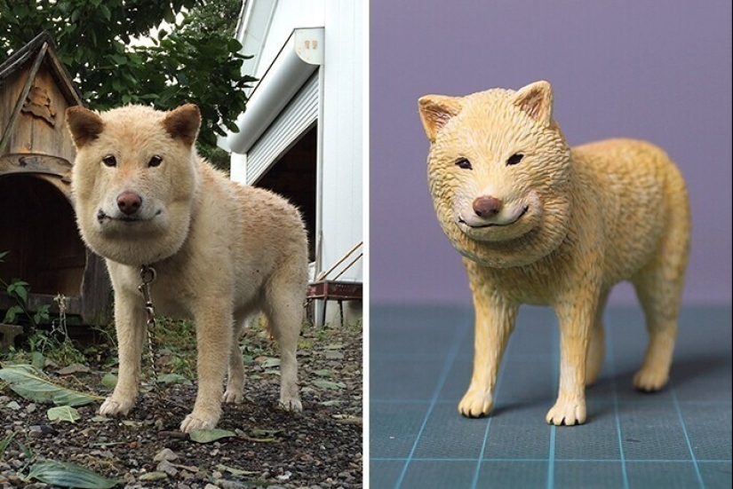 Este es un debe ver: 50 divertidas figuras de animales basado en Internet memes