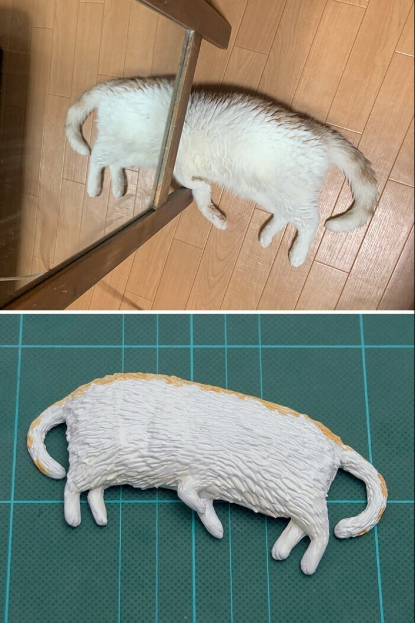 Este es un debe ver: 50 divertidas figuras de animales basado en Internet memes